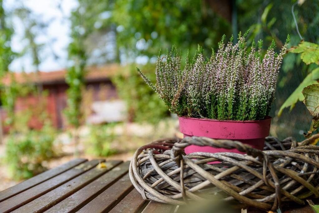 Spacious Wooden Cottage With Infra-Red Sauna At Veluwe Putten Luaran gambar